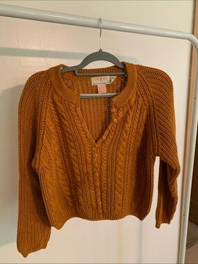 American Eagle Outfitters V-Neck Cable Knit Button-Up Sweater - Rust Orange